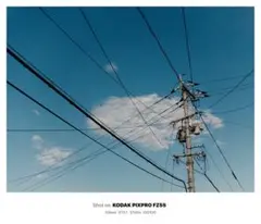 Item thumbnail for item 499d6359-5f4c-4991-bec0-f8380895ecc6