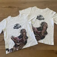 【新品未使用】ジュラシックパーク　Tシャツ 2枚セット