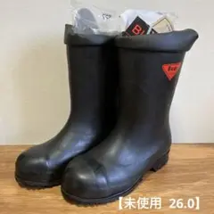 Item thumbnail for item 49525a10-db15-4771-8610-7629cd088a56