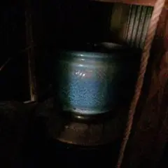火バチ
