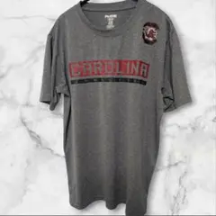 ProEdge CAROLINA Tシャツ Mサイズ グレー