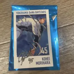 横浜DeNAベイスターズ　ブラインドフォトカード　森原康平選手