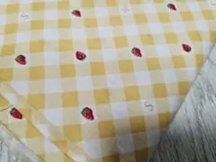 大大大SALE✨見切り品 マーガレット&ソフィー いちごギンガム♡﻿