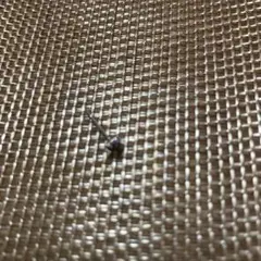 ブラックダイヤ ピアス 片耳
