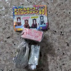 アイドルホース☆ミニコレクションVol.40　ジューンテイク　ヤマニンサルバム