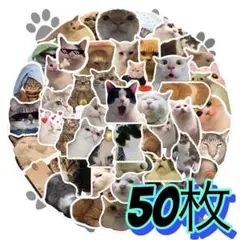 Item thumbnail for item a58ba8d6-34a7-42f9-b79e-51e574d34eec