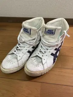 asics 新品未使品　ポイントゲッター　カンガルー革　デッドストック アシックス ポイントゲッター カンガルー革 26cm 【旧ASICSロゴ