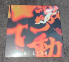 No Limit ノーリミット 激動グッズ m69246689295_1.jpg?1742000481