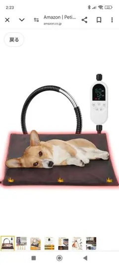 Item thumbnail for item 7ddef6cc-0fbd-42fa-b129-eb569254474f