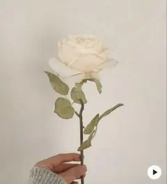 Item thumbnail for item 9986ff19-6733-445d-964f-ff6e2e911594