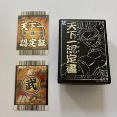 ドラゴンボールZ、爆烈インパクト　準優勝カード2枚　ケース1個　天下一認定証