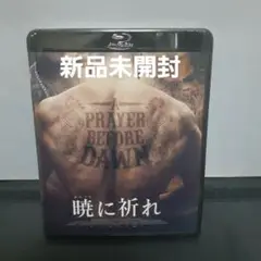 A Prayer Before Dawn 暁に祈れ
