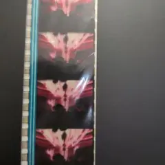 エヴァンゲリオン DVD 特典付 序破セット