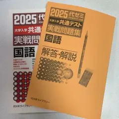 2025大学入学共通テスト実戦問題集 国語