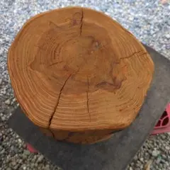 丸太(杉)