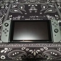 いろいろ訳あり2017未対策機ニンテンドースイッチ、ジョイコン