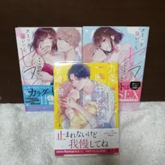 九条さんは一晩中抱けるド絶倫 ～豹変男子のイキすぎ絶頂テクニック 4