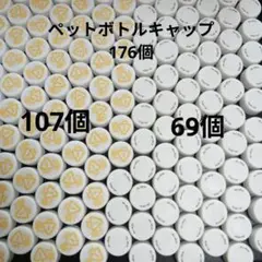 ペットボトルキャップ176個