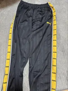 Item thumbnail for item 98508caf-4e9e-4462-a895-395a11e08926