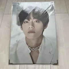 BTS MAP OF THE SOUL TOUR premium photo V