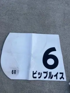 競馬　実使用ゼッケン　ビップルイス号