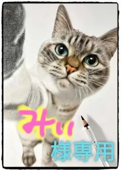 Natural ash(grey)■眉■アイブロウ用■アートメイクのインク■色