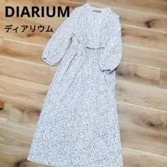DIARIUM 総柄　ストーンモチーフ　ロングシャツワンピース