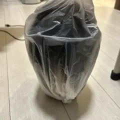 Item thumbnail for item ab7b47c9-9620-410e-90c6-7fd7edbd1969