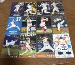 2025 プロ野球チップス カード