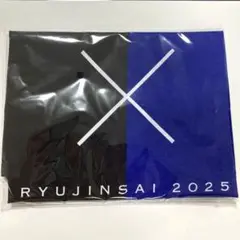 中日ドラゴンズ×氣志團　竜神祭　2025 応援グッズ
