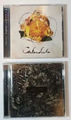 a crowd of rebellion Calendula The Crow