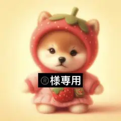 専用ページ