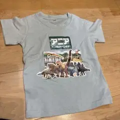 アニア　恐竜　Tシャツ　100cm