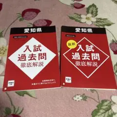 愛知県 入試過去問 徹底解説 2023-2024
