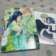 あぶれ騎士　2巻　とらのあな特典付き