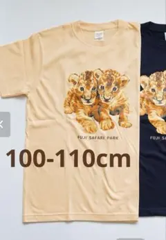 FUJI SAFARI PARK 赤ちゃんライオン Tシャツ
