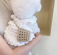 ぽこぽこ　ポップコーンキャミ　韓国　犬服　ホワイト　XS