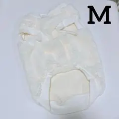 Item thumbnail for item 31dd43a0-7541-471a-8c07-39fe824131b1