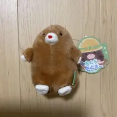 もぐらのもぐぞー　BIG ぬいぐるみ ≪5月の新商品≫もぐらのもぐぞー☆アミューズプライズ-NEW ITEM
