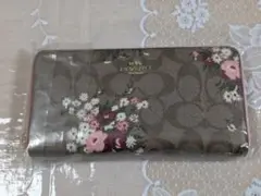 Item thumbnail for item 5efd7aa0-45e8-4371-b4b9-f54e5419be8d