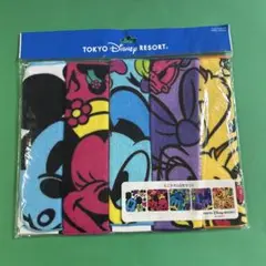 TOKYO DISNEY RESORT ミニタオル5枚セット