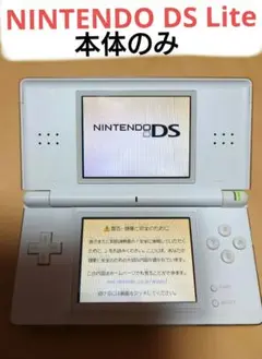 美品❕NINTENDO DS Lite 本体のみ 任天堂