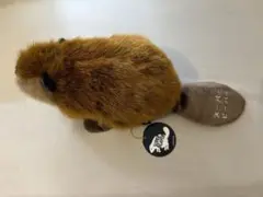 2025年最新】SUPERBEAVER×吉徳の人気アイテム - メルカリ