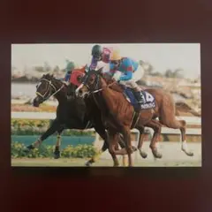 シルクジャスティス。有馬記念パンフレット