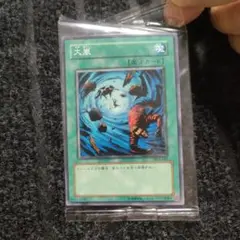 遊戯王OCG　 大嵐　ノーマル　大会配布