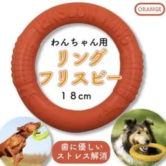 オレンジ Sサイズ 運動不足解消 楽しい オモチャ リング ペット用