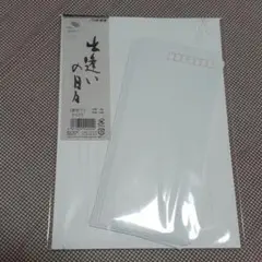 レターセット ビジネスレター 就活 真っ白 お礼状 添え状  面接 【新品】