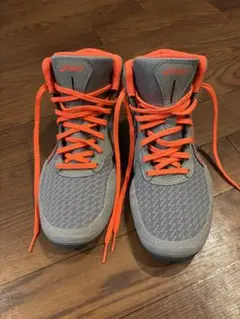 Item thumbnail for item 14b499a6-2bfe-4a0f-ada5-7a0790844144