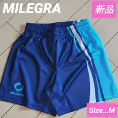 Item thumbnail for item aa3a1174-7148-464e-88b4-2505bf89b012