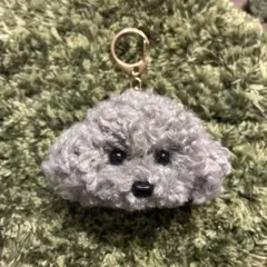 ＊うるうるトイプードル　毛糸キーホルダー＊グレー　灰色　ぬいぐるみマスコット